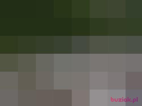 darekkonopskii, Male, 43 years, Morąg