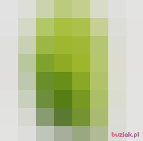 12mati12, Male, 30 years, Rybnik