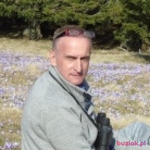 m44rek, Male, 69 years, Wrocław