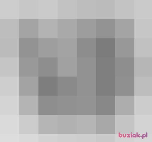 klavijus, Male, 64 years, Opole