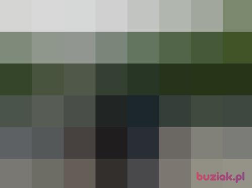 Franek54321, Male, 57 years, Opole