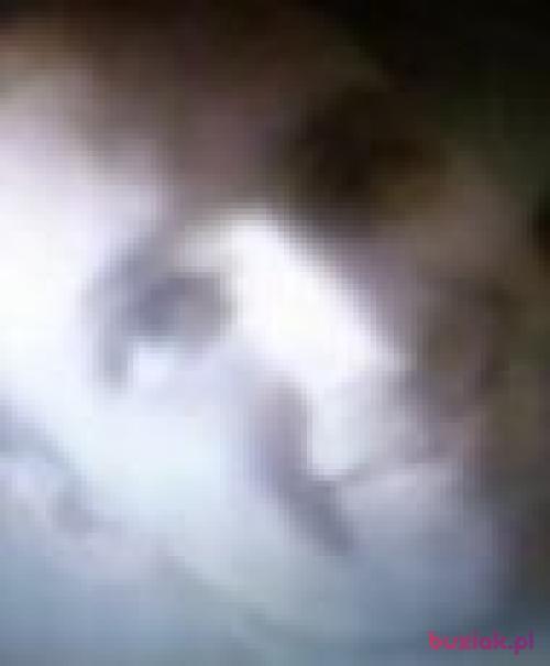 JanSam34, Male, 45 years, Nowy Targ