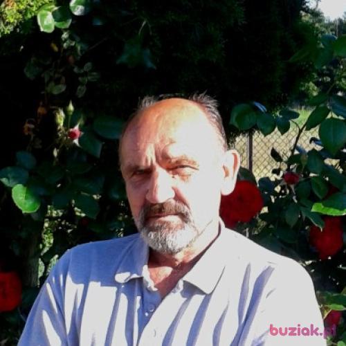 wiechulux, Male, 66 years, Przedbórz