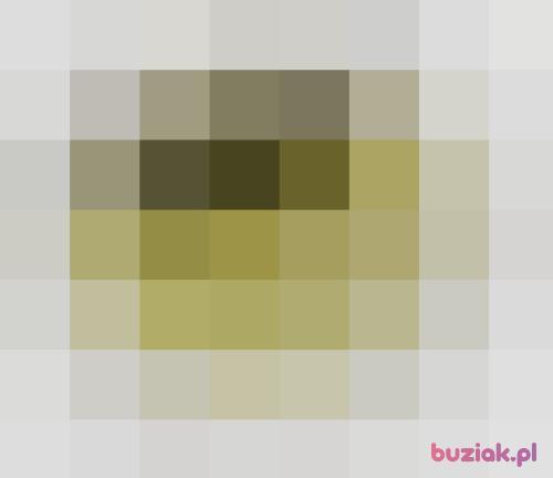 zuzanka1960, Female, 67 years, Rybnik