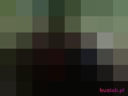daroo2, Male, 44 years, Barlinek
