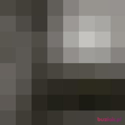 Bakuu699, Male, 24 years, Szubin