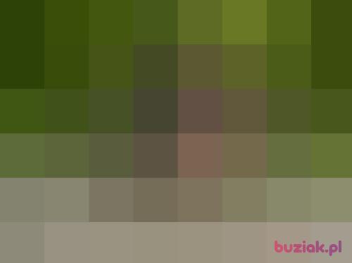 Halka05, Female, 68 years, Lublin