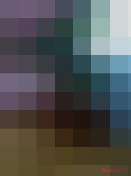 salsa1, Kobieta, 31 lat, Drawsko Pomorskie