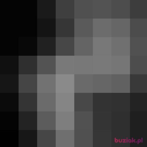 skiwi, Male, 41 years, Wrocław
