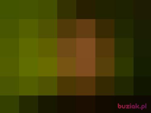 aavva, Male, 36 years, Legnica
