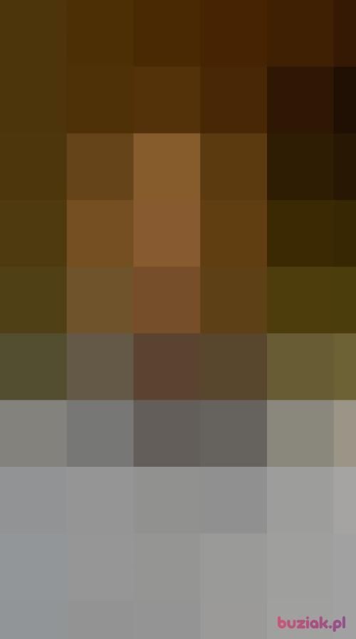 Solonek, Mężczyzna, 32 lata, Złotów