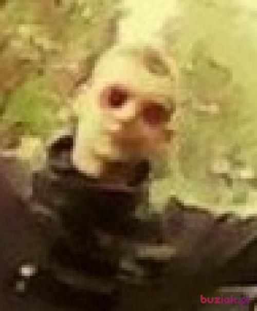 Bongosik19, Male, 28 years, Kętrzyn