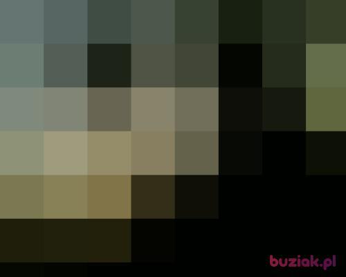 lssk, Male, 36 years, Zielona Góra