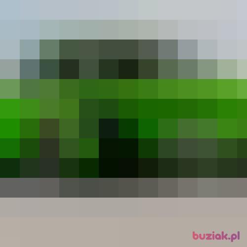 rol69, Male, 57 years, Essen