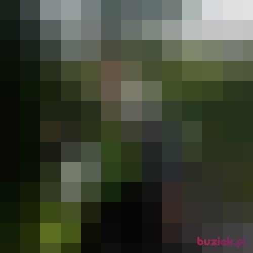 Conklawe, Male, 41 years, lubelskie