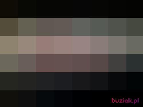 brutusso, Male, 44 years, Gliwice