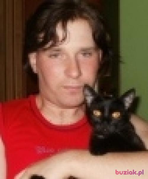 Krzysztof4343, Male, 35 years, Kutno