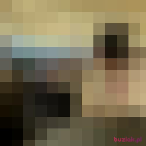 artem967, Male, 26 years, Poznań