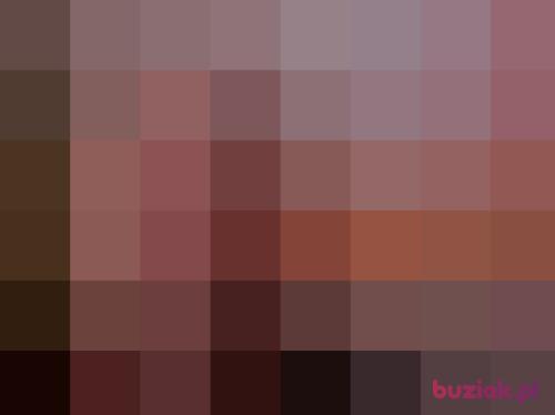 slawek205, Male, 42 years, Brodnica