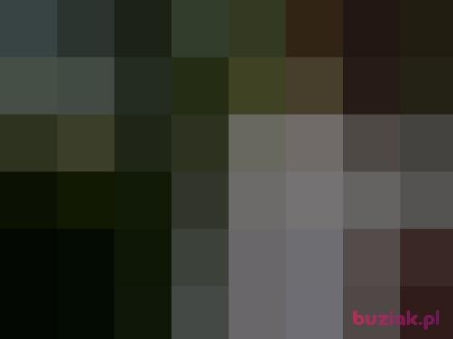 manksty1, Male, 39 years, Tychy