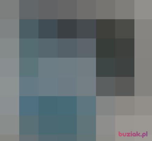 Donwasilo, Male, 32 years, Zurich