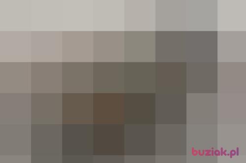 kamcia0909, Female, 29 years, Brodnica