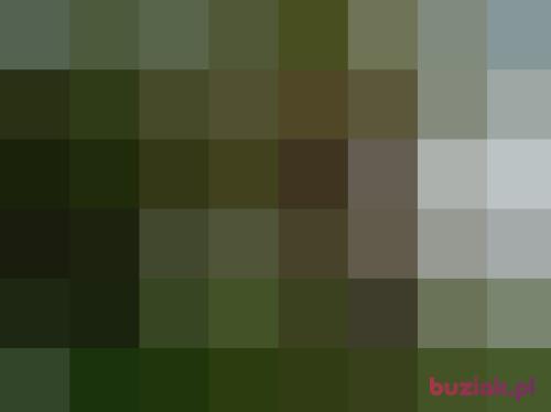 ralph20, Male, 38 years, Lublin
