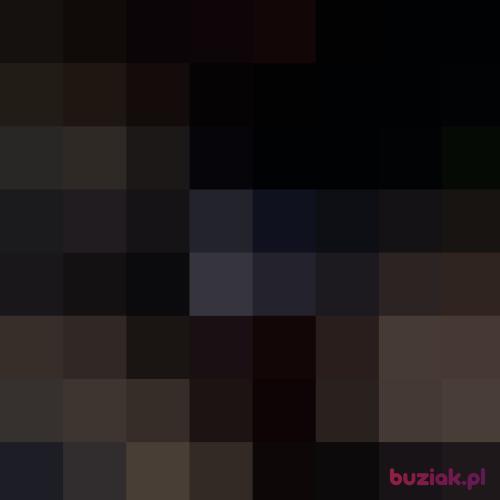 Dawid2015, Male, 29 years, Grudziądz