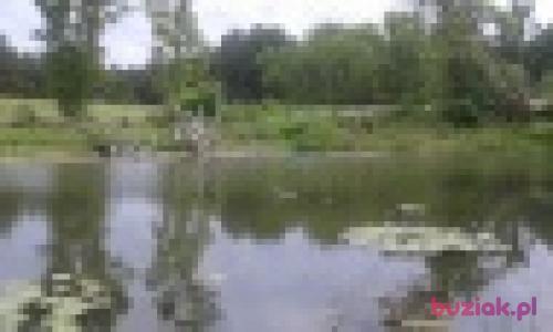cajmer88, Male, 37 years, Nowy Dwór Mazowiecki