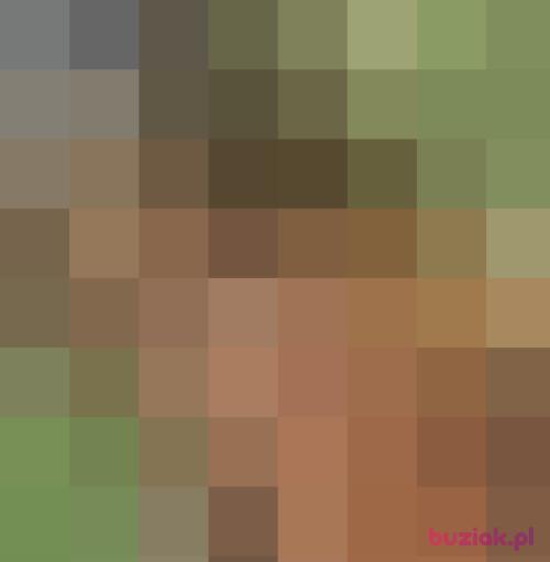 Zabcia71, Female, 54 years, Rybnik