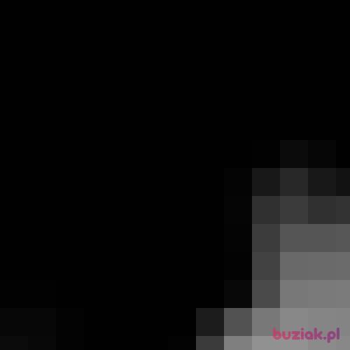 Flox, Male, 23 years, Szczecin