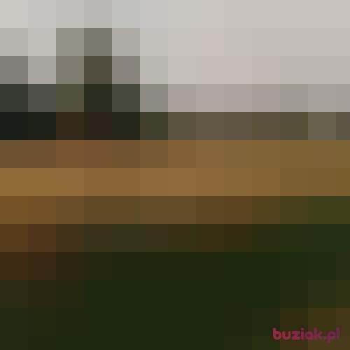 bccustom, Male, 33 years, Brzesko
