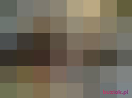 darrager, Male, 44 years, Siedlce
